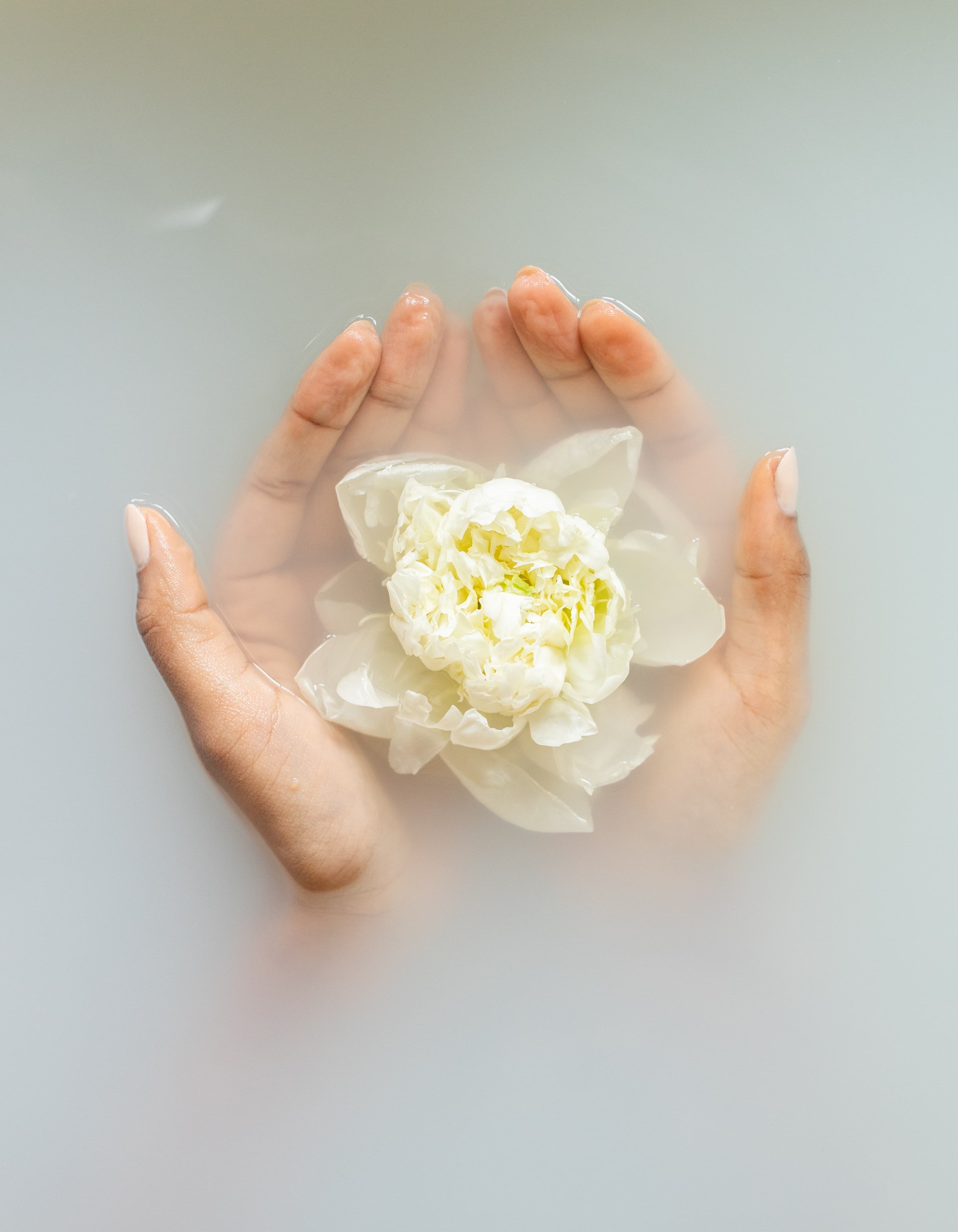 Blume