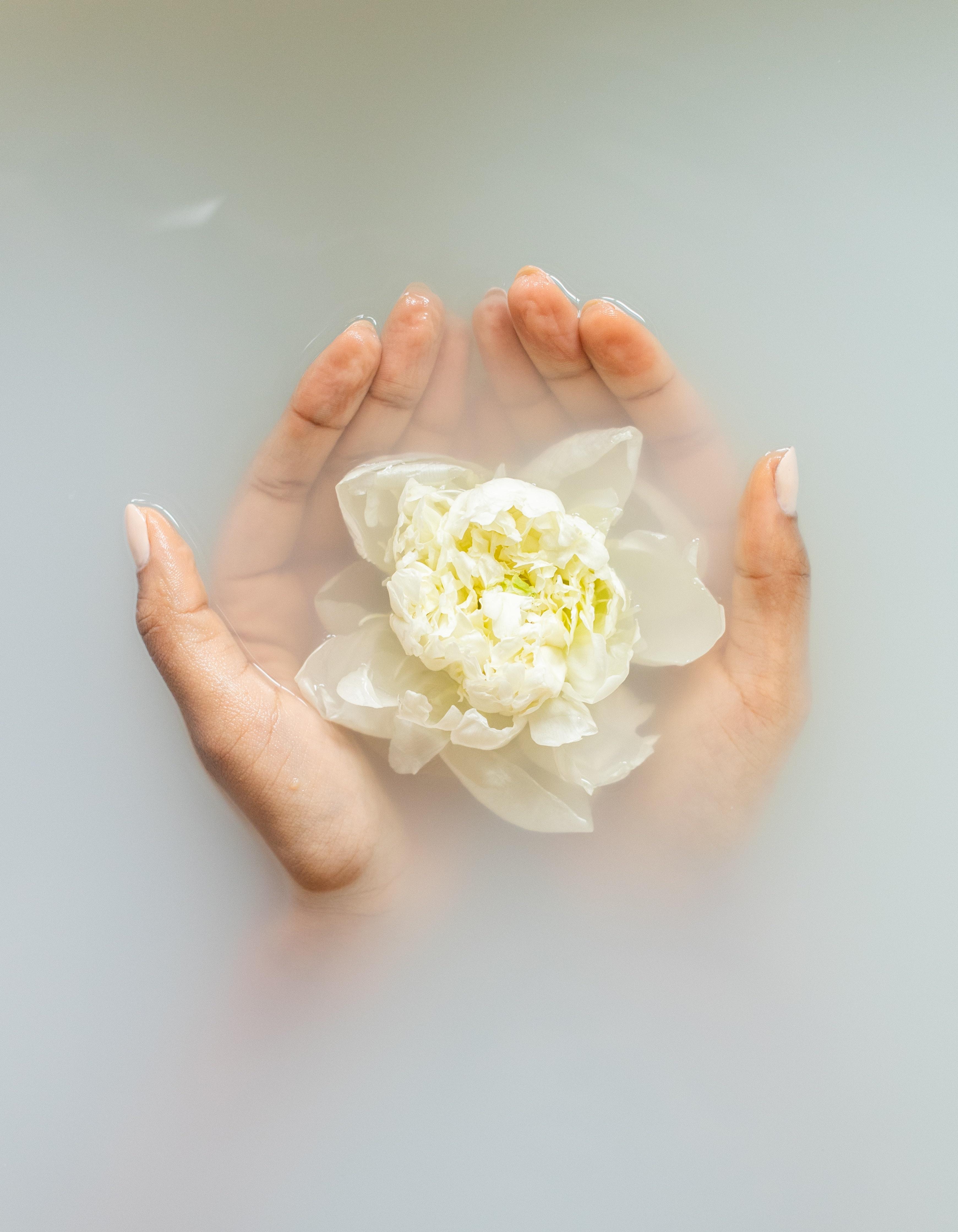 Blume